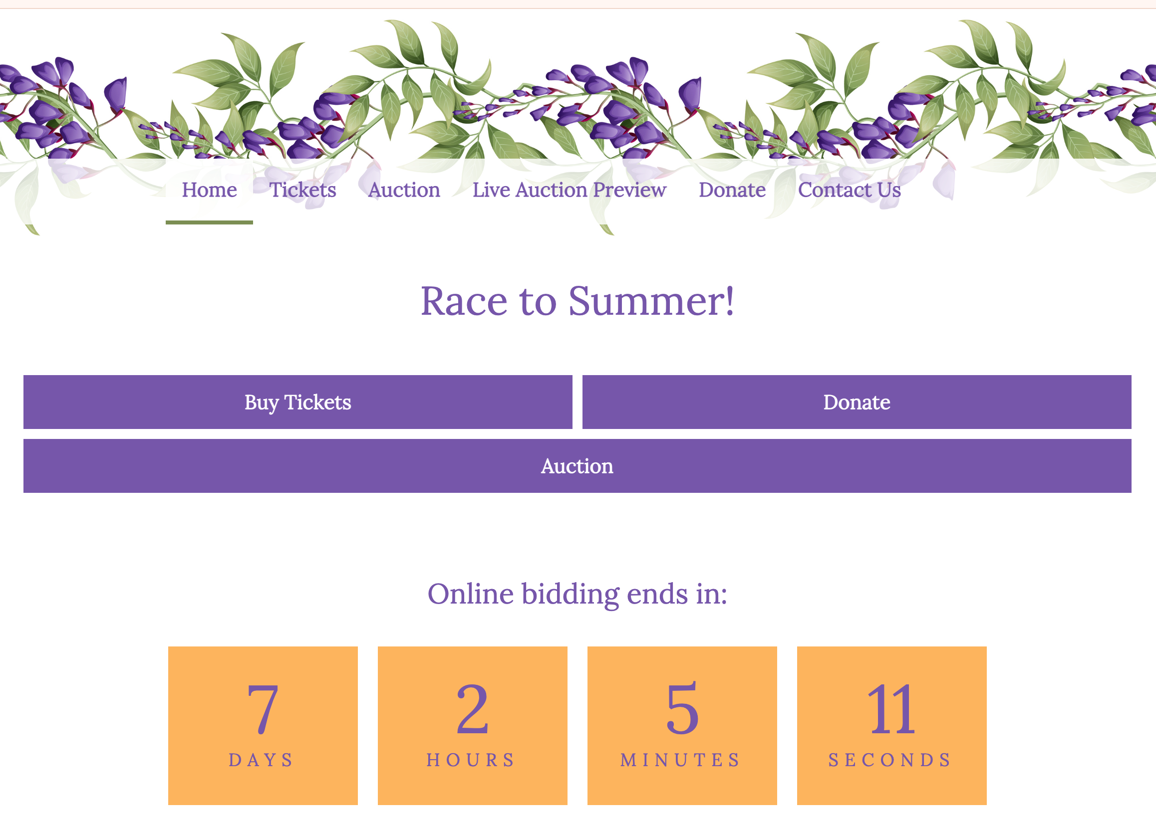 BUC Service Auction Website